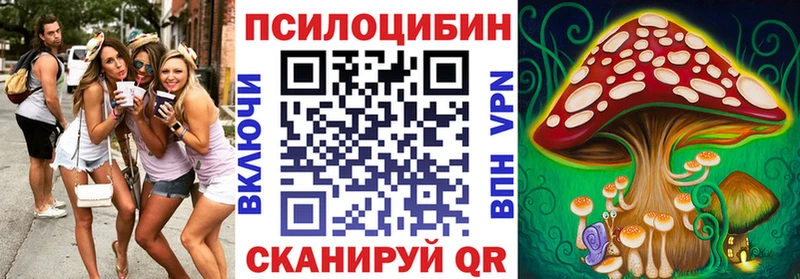 Псилоцибиновые грибы Psilocybe  Купить где  Калач 